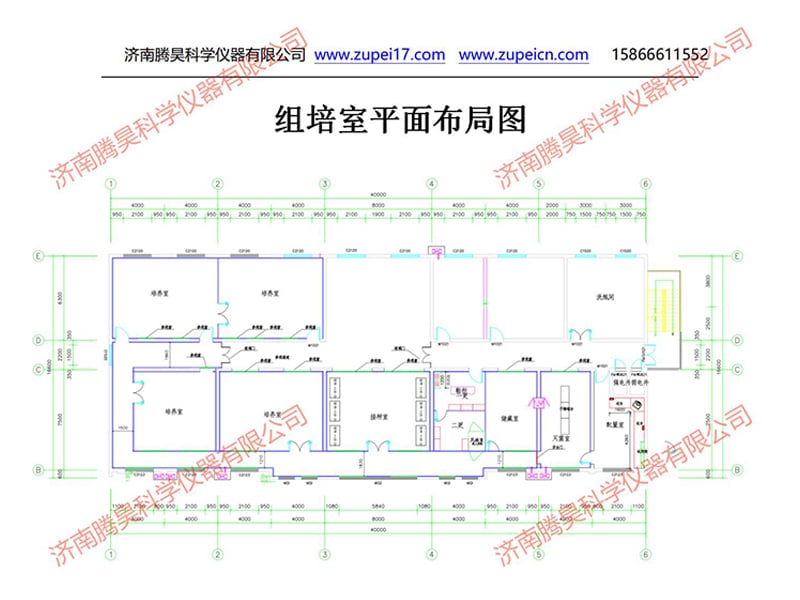 济宁蜜柚视频了app下载汅api免费下载室设计