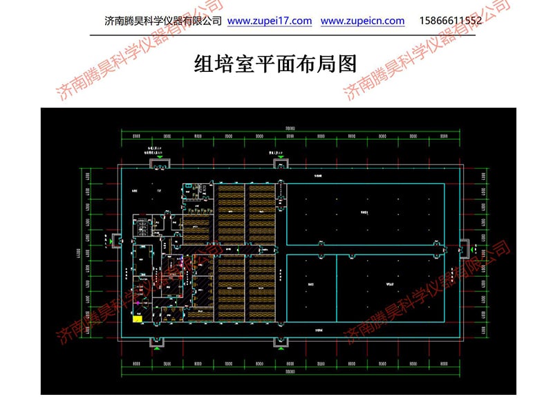 蜜柚视频了app下载汅api免费下载  蜜柚视频了app下载汅api免费下载室