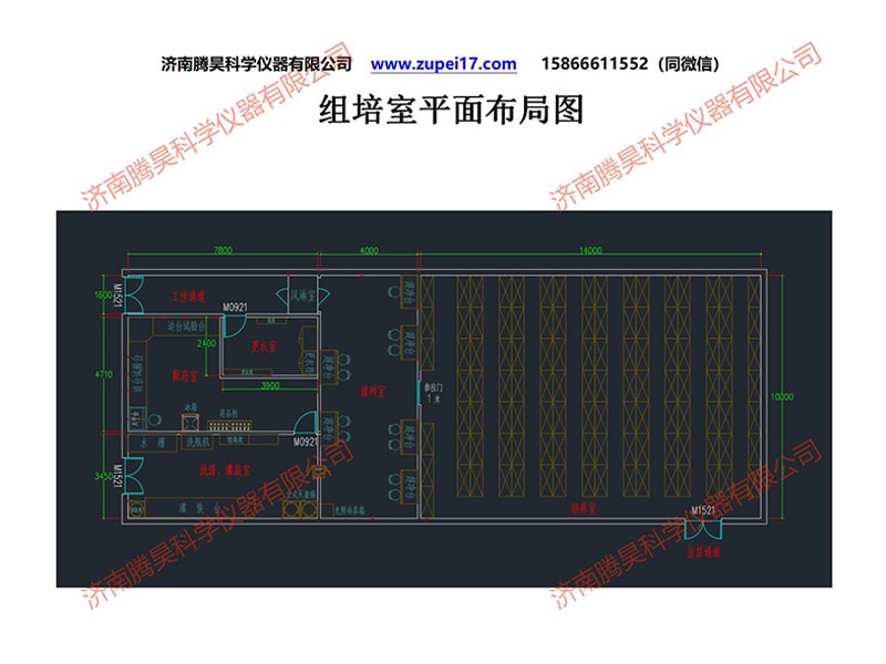 蜜柚视频了app下载汅api免费下载室