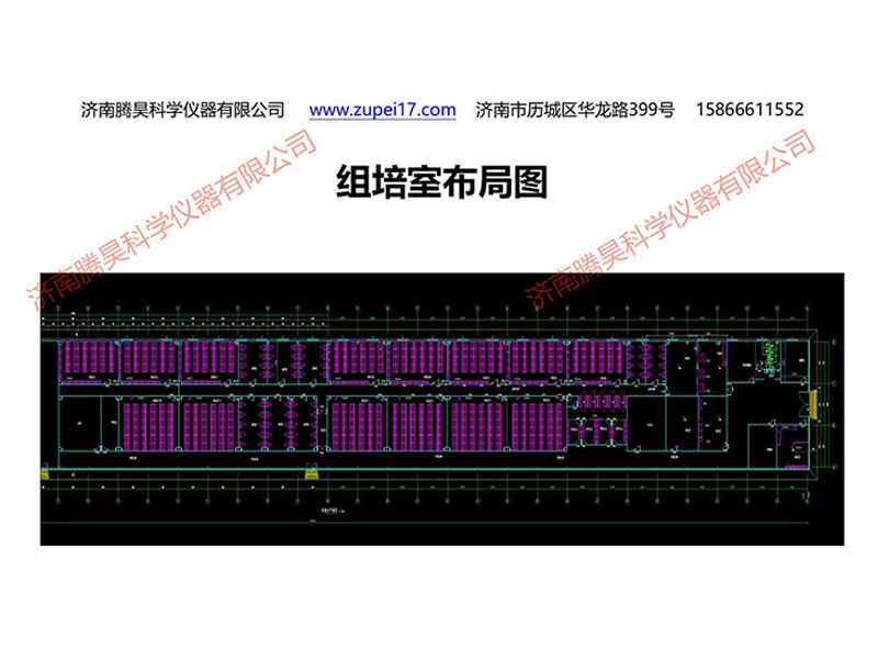 蜜柚视频了app下载汅api免费下载  蜜柚视频了app下载汅api免费下载室