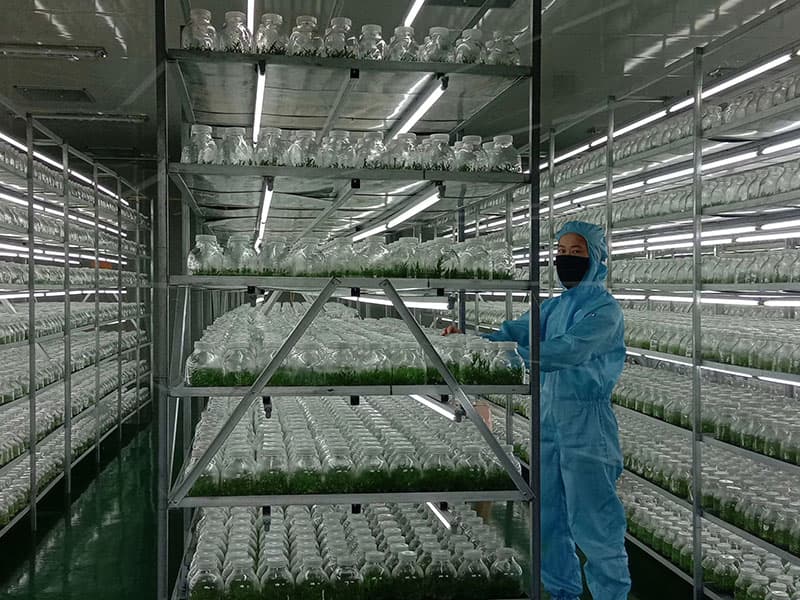 插扣式蜜柚视频了app下载汅api免费下载架