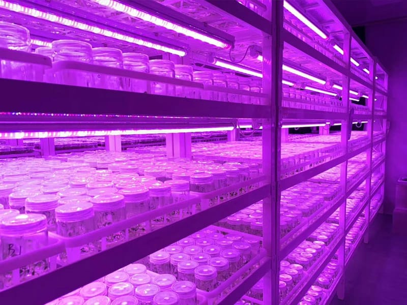 蜜柚视频了app下载汅api免费下载  蜜柚视频了app下载汅api免费下载架