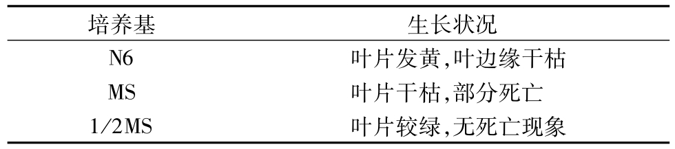 芦苇蜜柚视频了app下载汅api免费下载快繁技术的研究