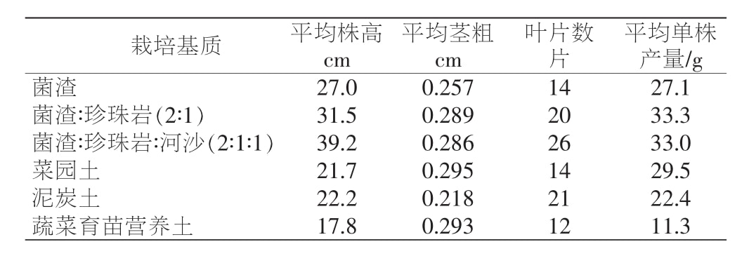 黄精蜜柚视频了app下载汅api免费下载苗移栽技术研究