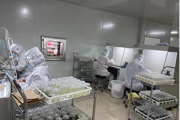 蜜柚视频了app下载汅api免费下载工厂设计建设的注意事项